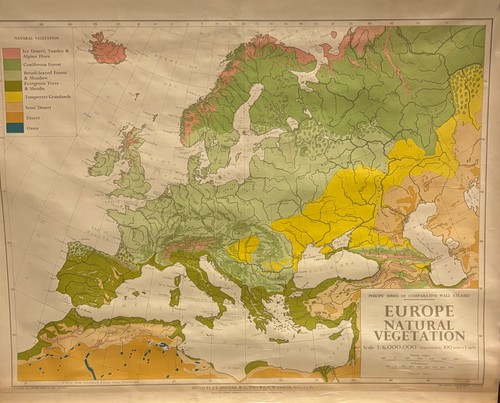 Vintage cloth map layer - cloth, 1